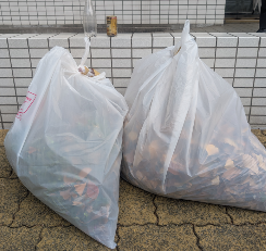 【CSR】東京事業部 周辺道路の清掃（社会の一員として・持続可能な環境のため）